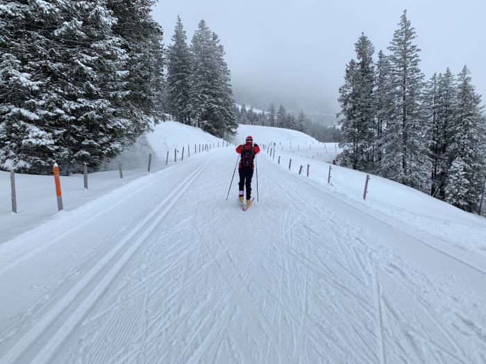 Las mejores ofertas en Cera de Esquí de fondo
