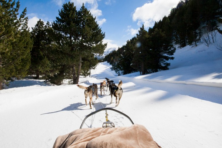 mushing andorra